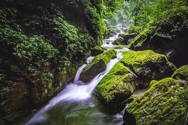 试管婴儿一代成功案例分享:一段充满希望的孕育之旅